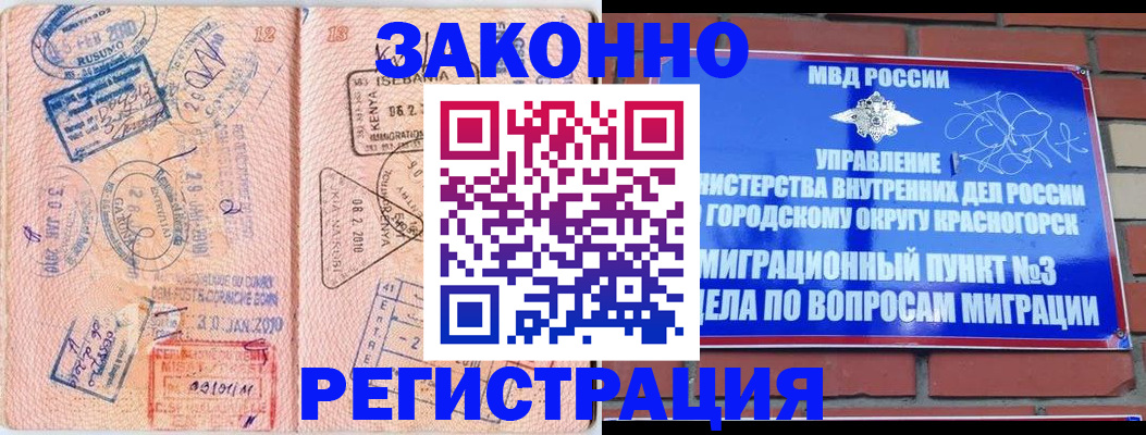 прописка иностранных граждан в Камчатской области